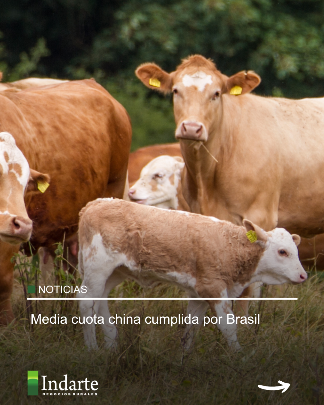 Media cuota china cumplida por Brasil