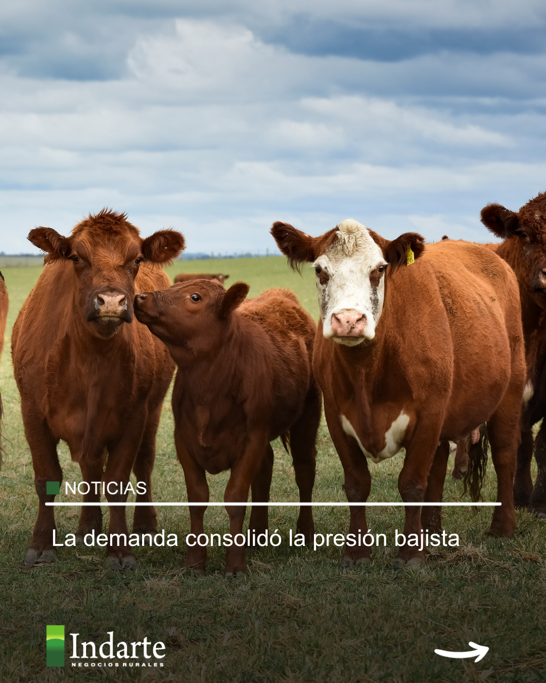 La demanda consolidó la presión bajista 