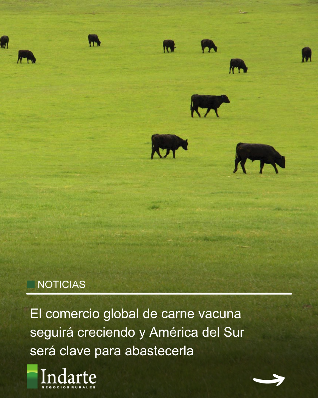 El comercio global de carne vacuna seguirá creciendo y América del Sur será clave para abastecerla