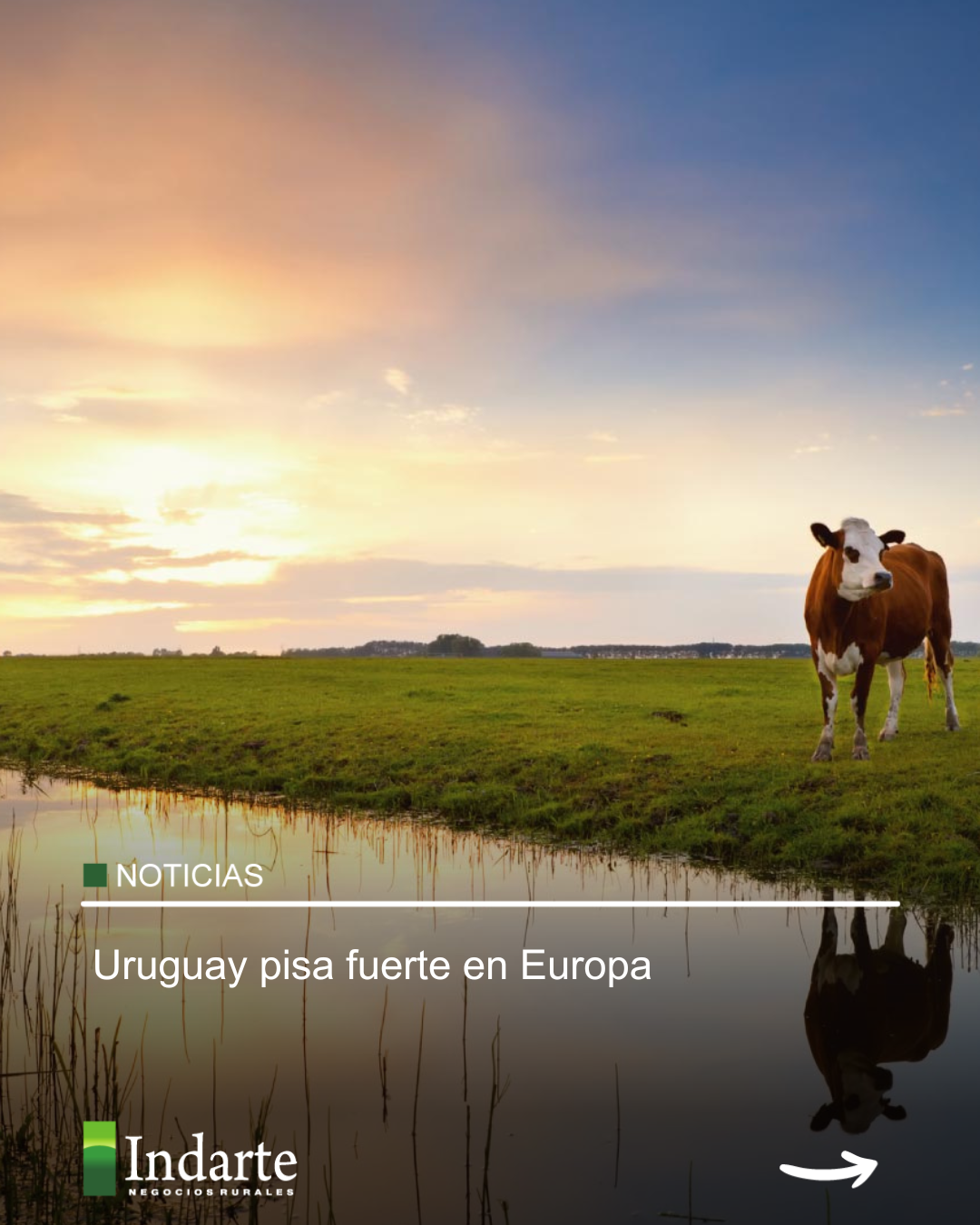 Uruguay pisa fuerte en Europa 