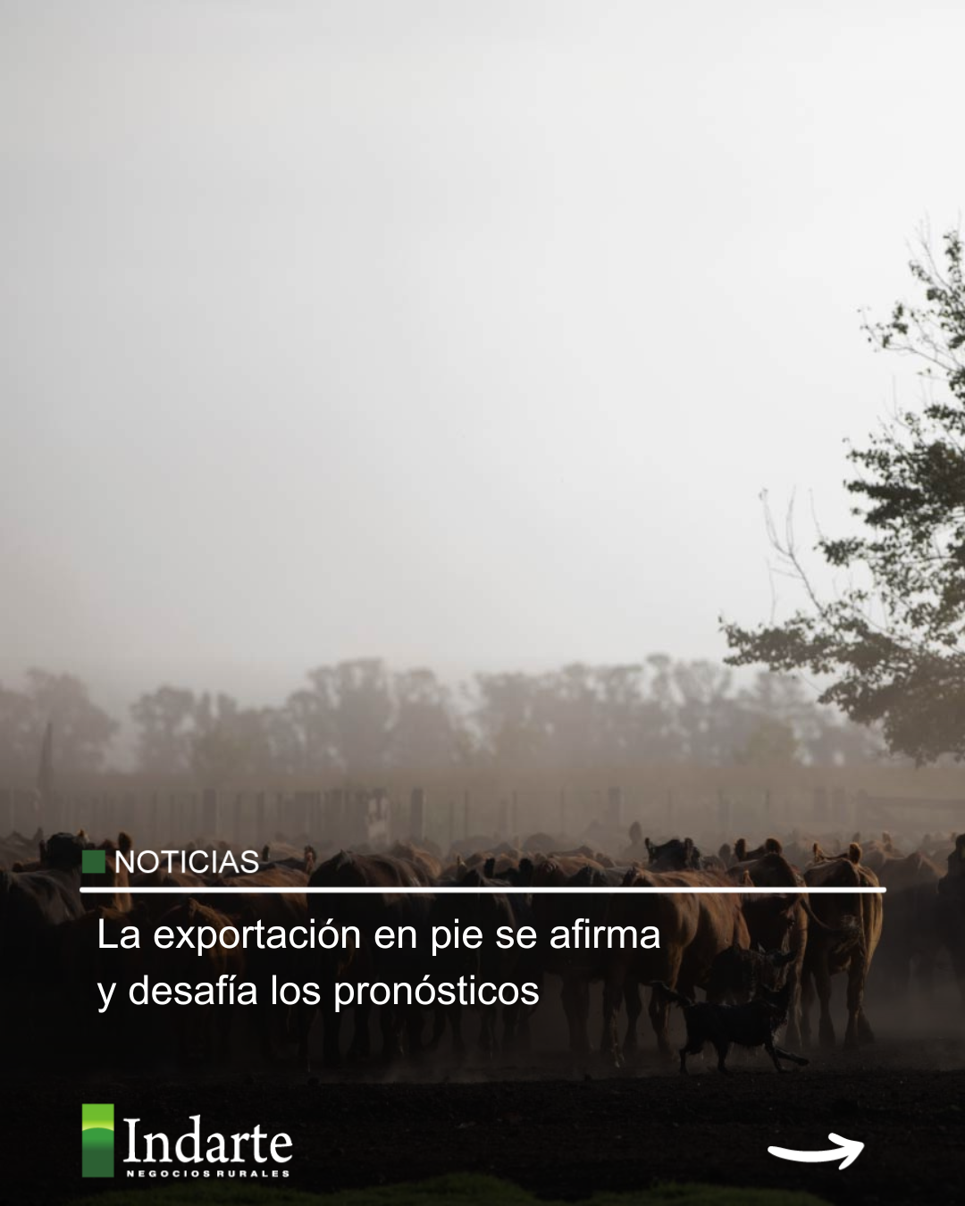 La exportación en pie se afirma y desafía los pronósticos