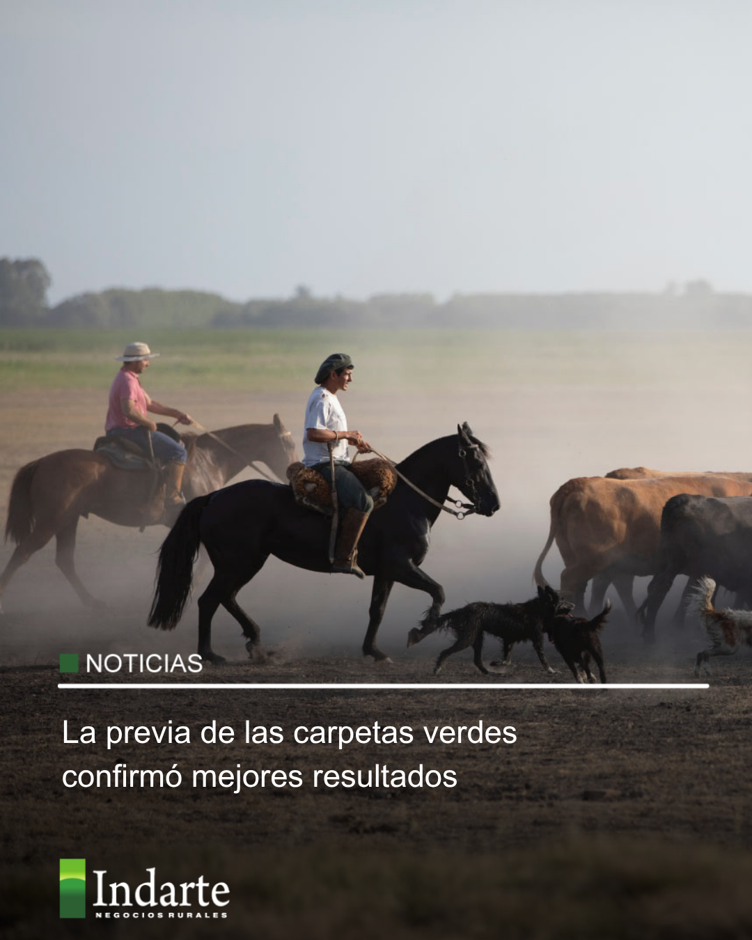 La previa de las carpetas verdes confirmó mejores resultados 