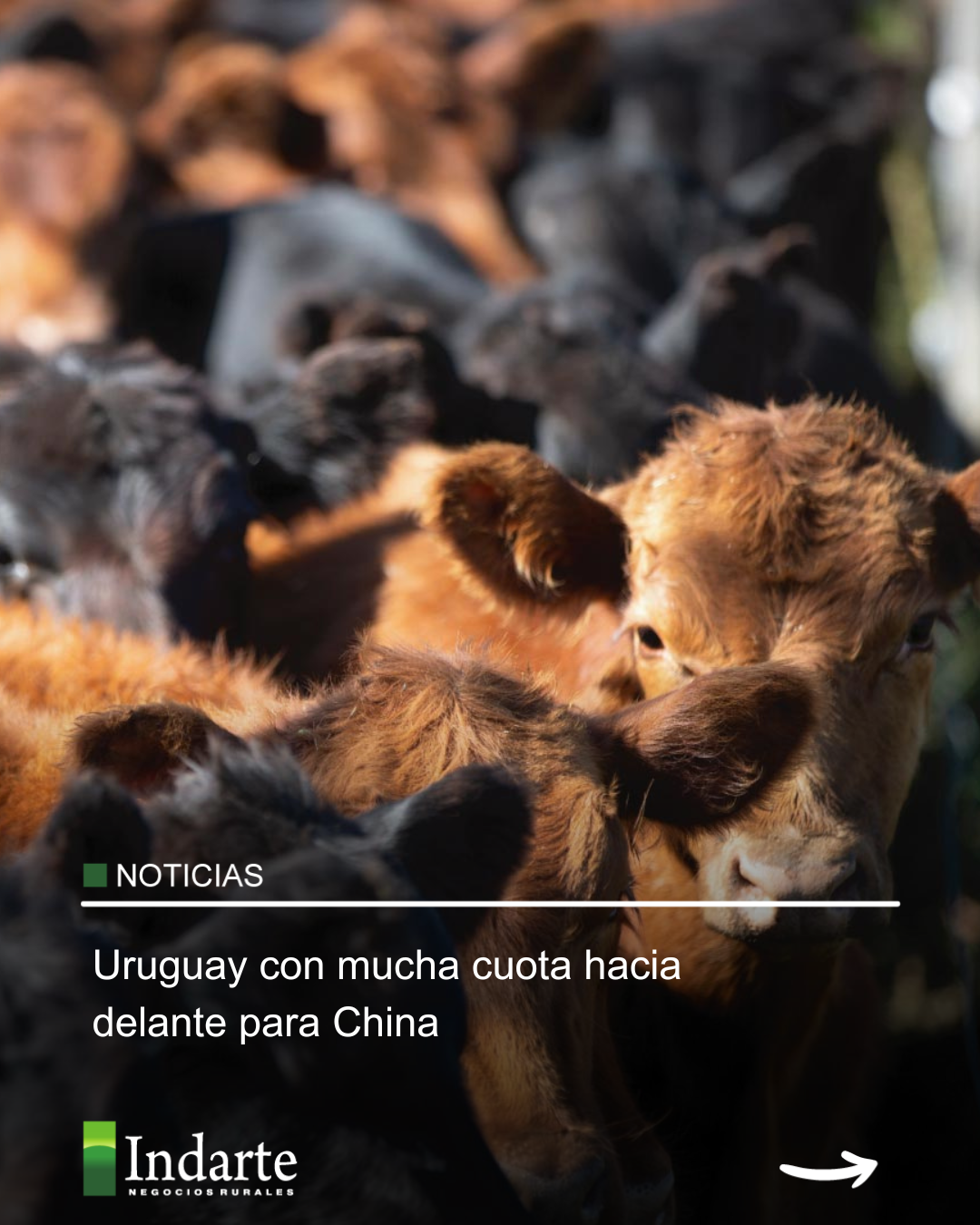 Uruguay con mucha cuota hacia delante para China