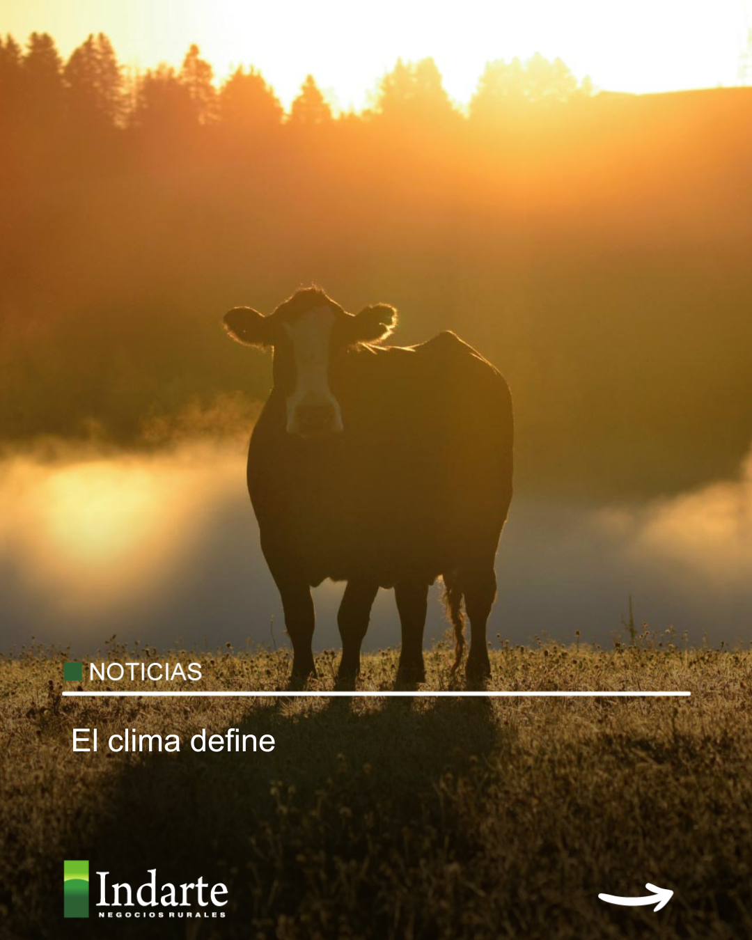 El clima define