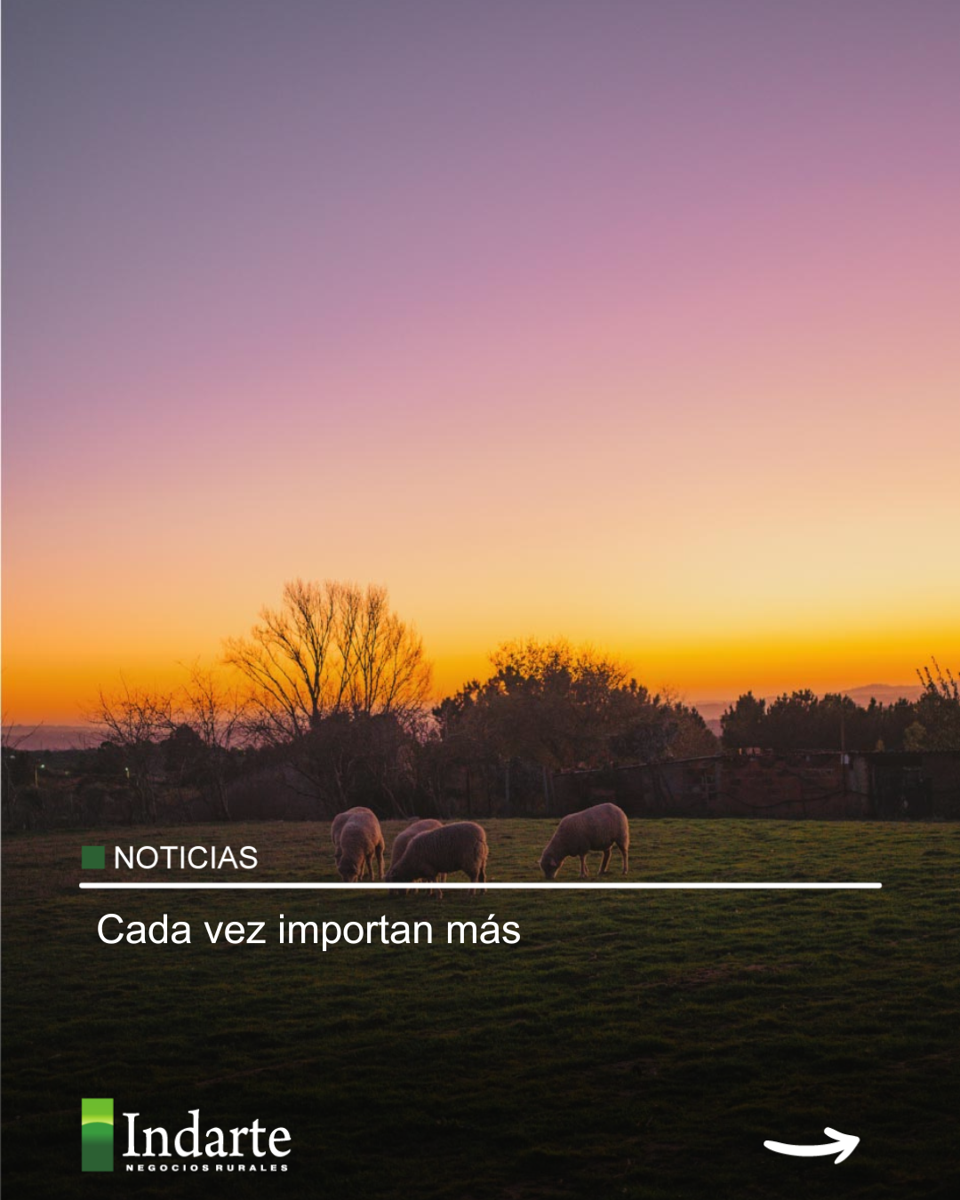 Cada vez importan más