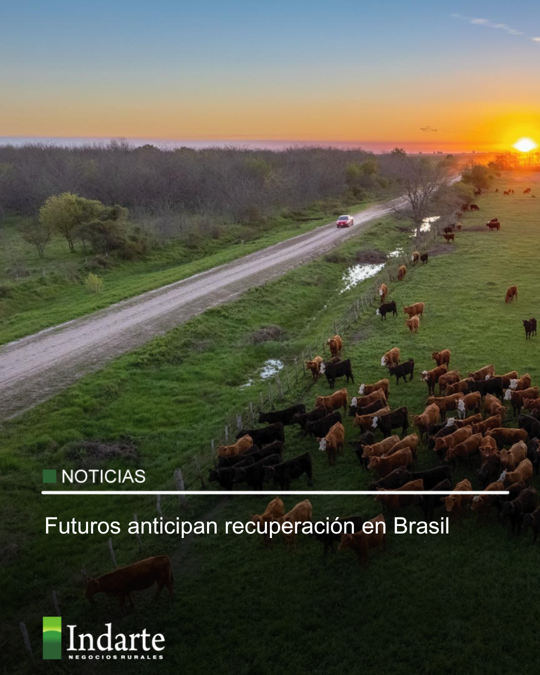 Futuros anticipan recuperación en Brasil