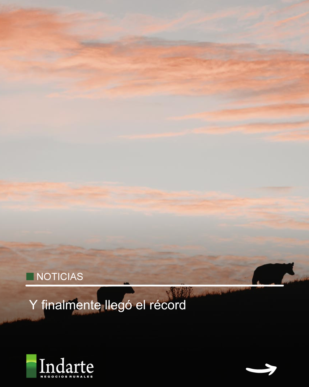 Y finalmente llegó el récord 