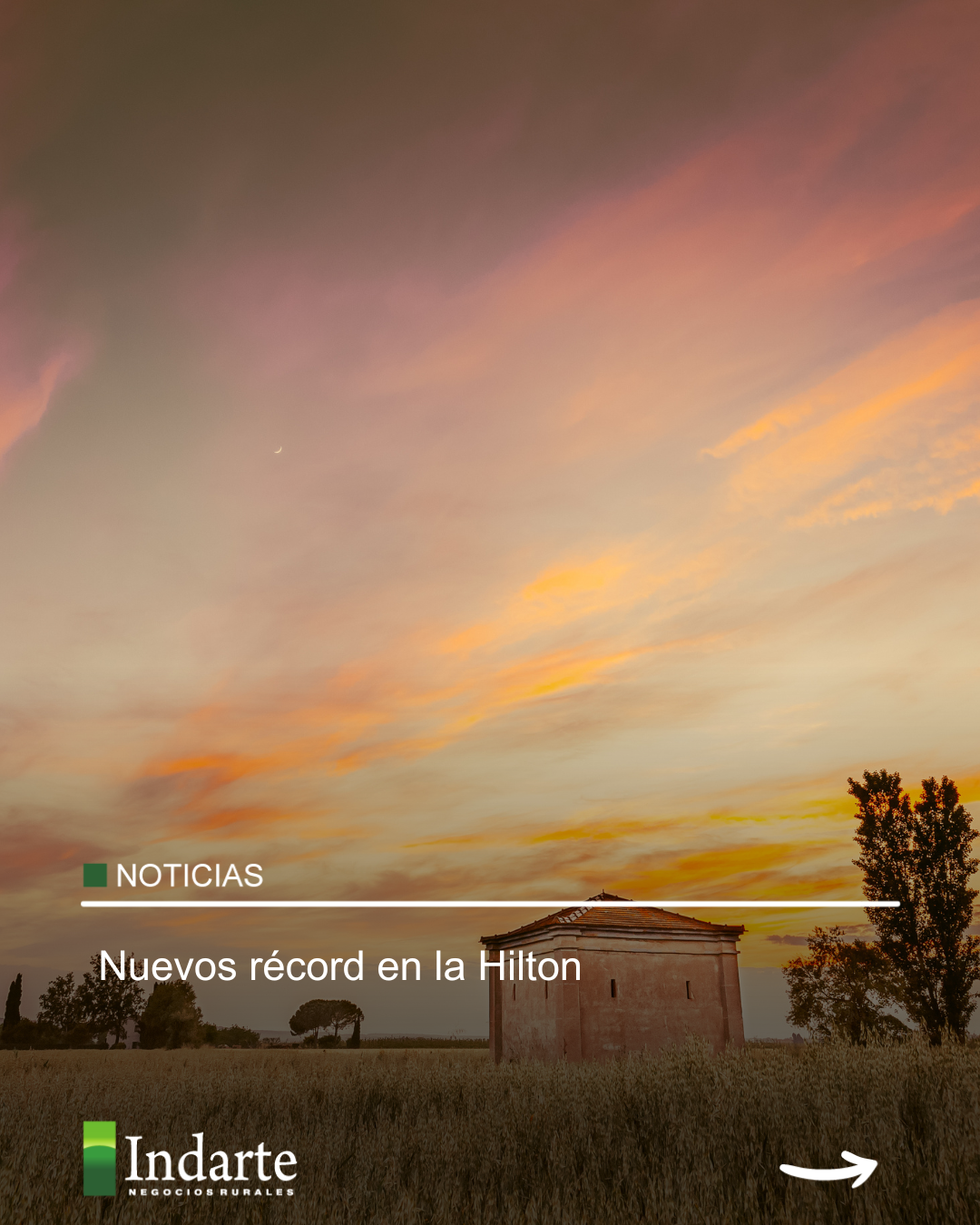 Nuevos récord en la Hilton 