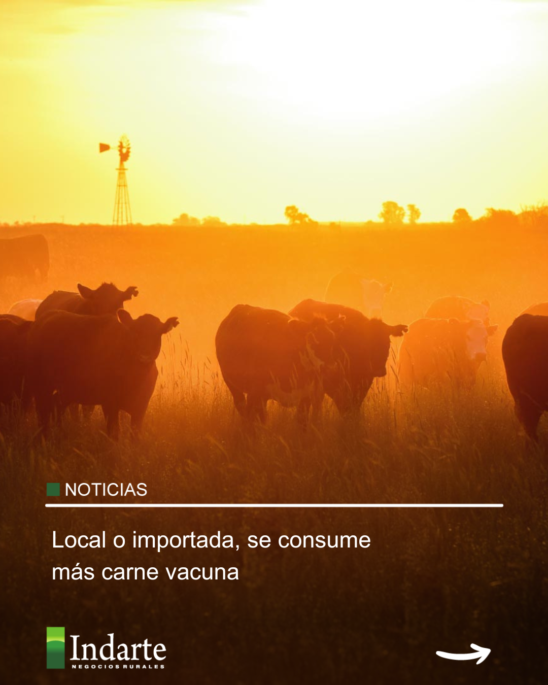 Local o importada, se consume más carne vacuna 