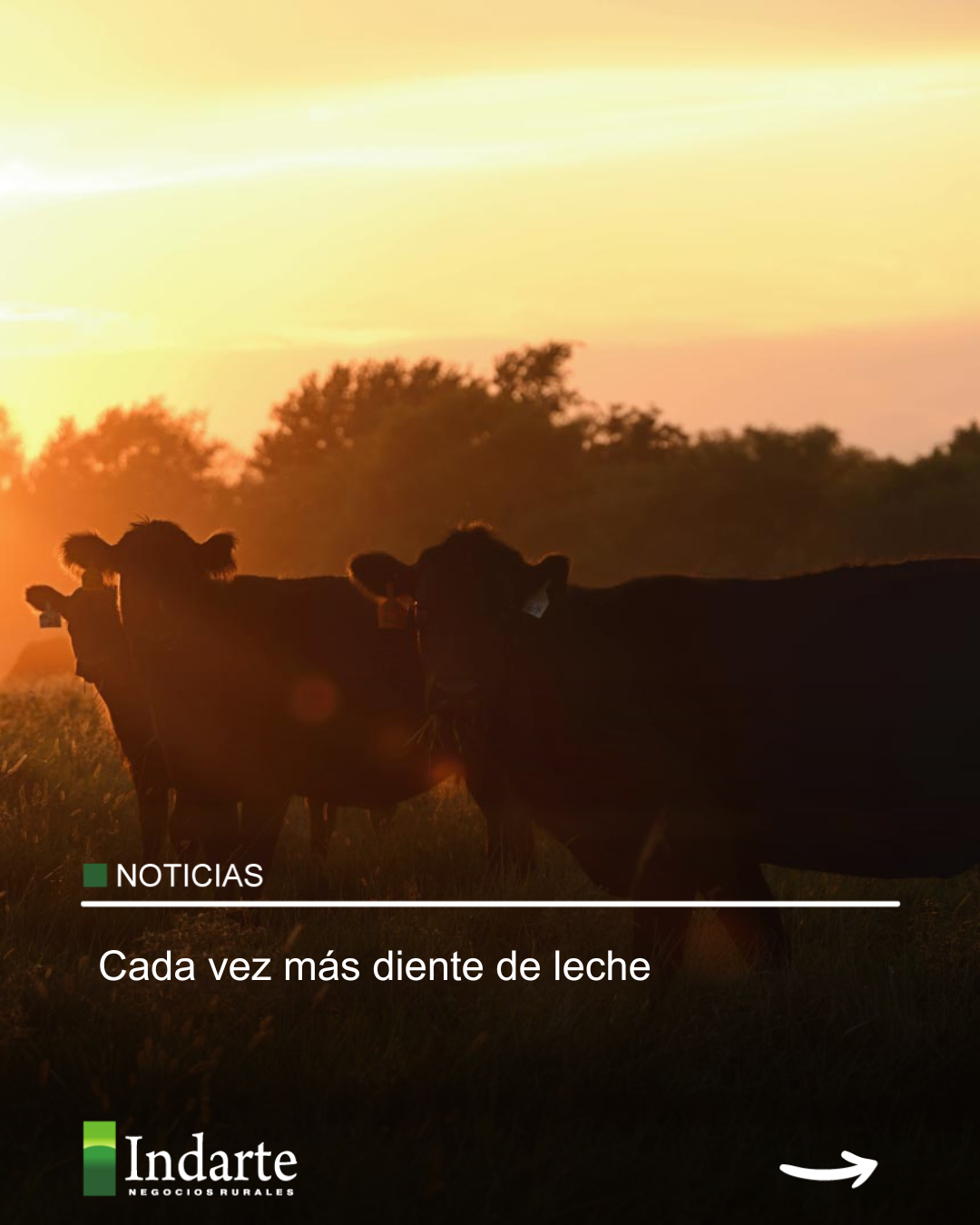 Cada vez más diente de leche