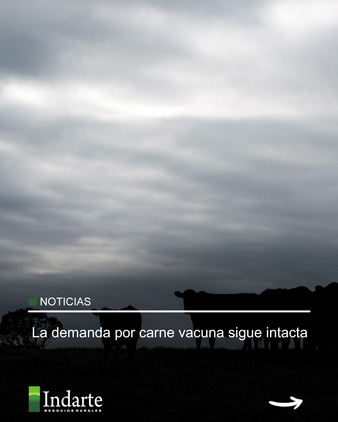 La demanda por carne vacuna sigue intacta