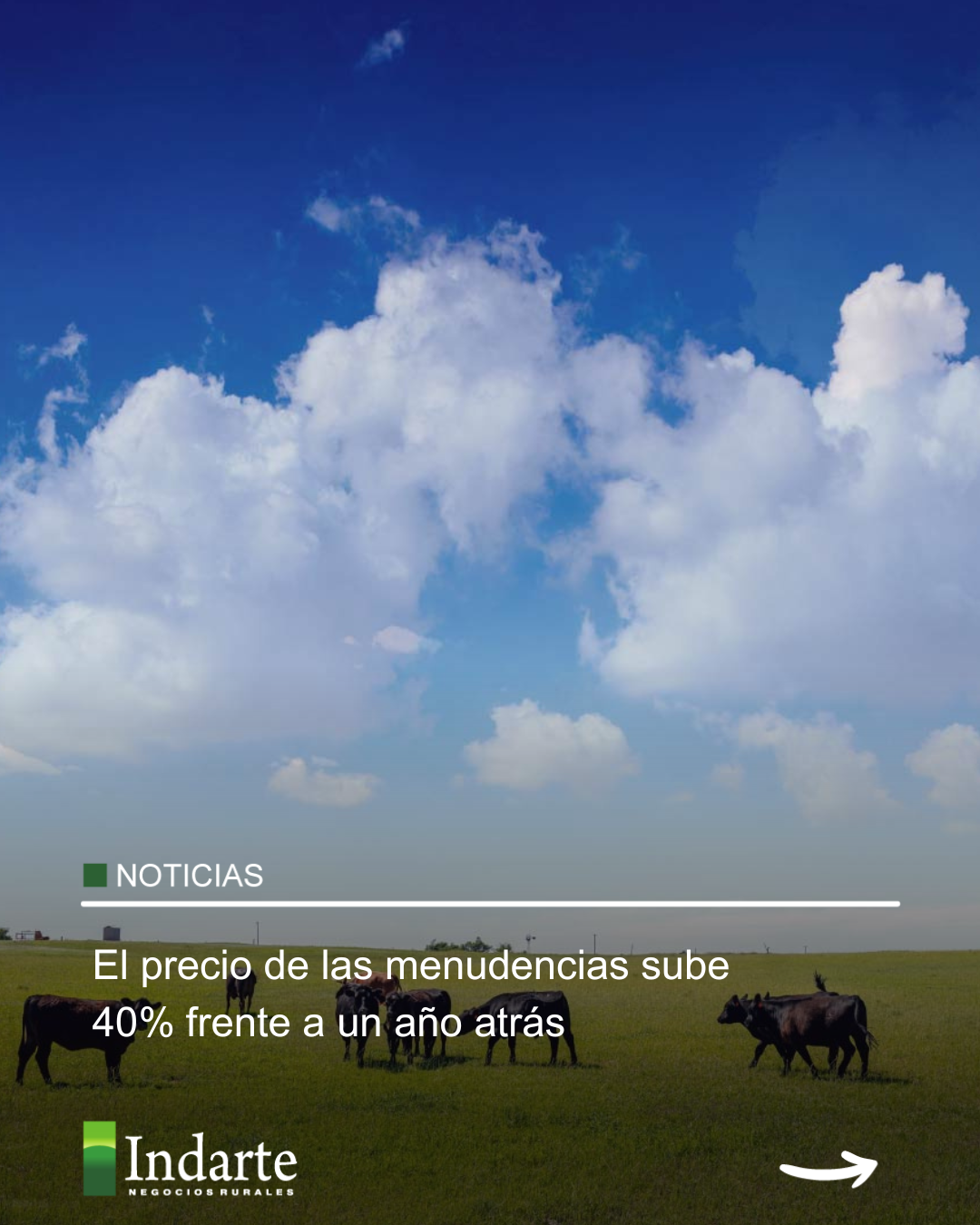 El precio de las menudencias sube 40% frente a un año atrás