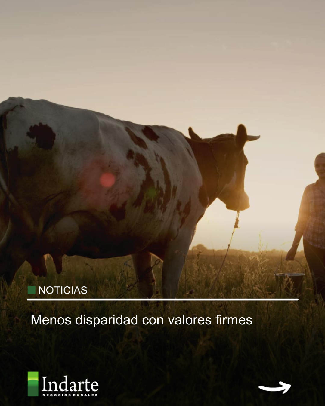 Menos disparidad con valores firmes 