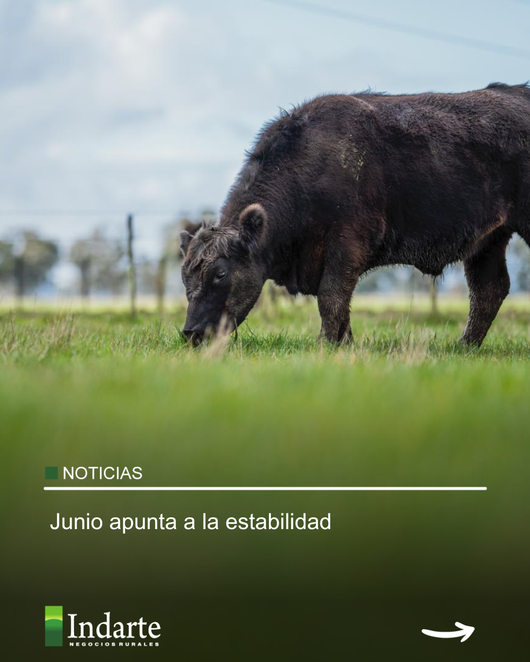 Junio apunta a la estabilidad 