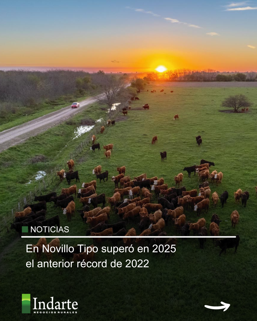 En Novillo Tipo superó en 2025 el anterior récord de 2022