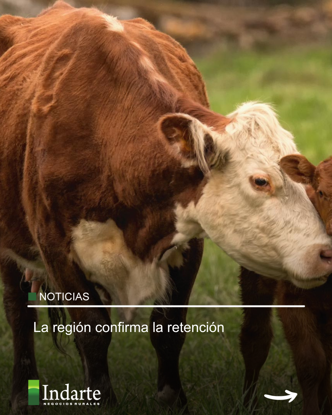 La región confirma la retención