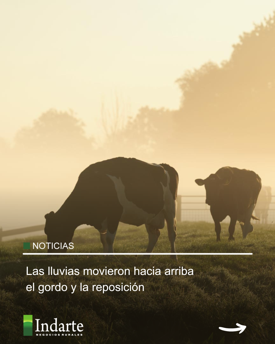 Las lluvias movieron hacia arriba el gordo y la reposición