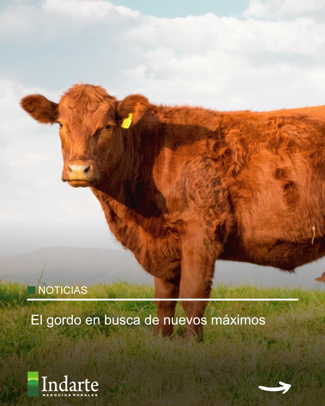 El gordo en busca de nuevos máximos