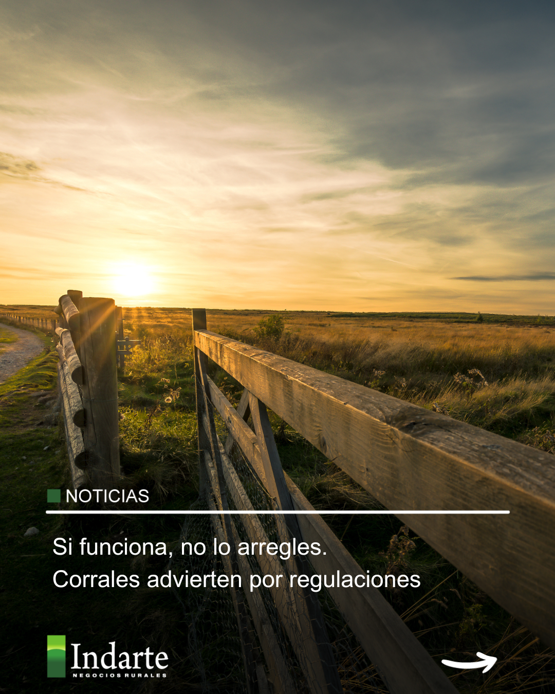 Si funciona, no lo arregles. Corrales advierten por regulaciones 