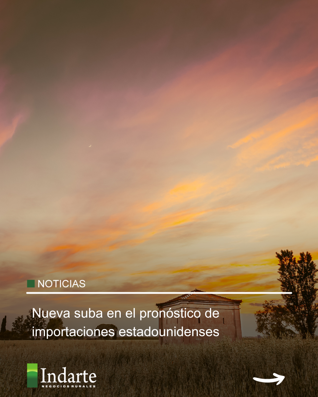 Nueva suba en el pronóstico de importaciones estadounidenses