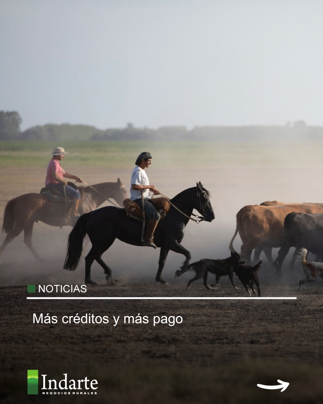 Más créditos y más pago 