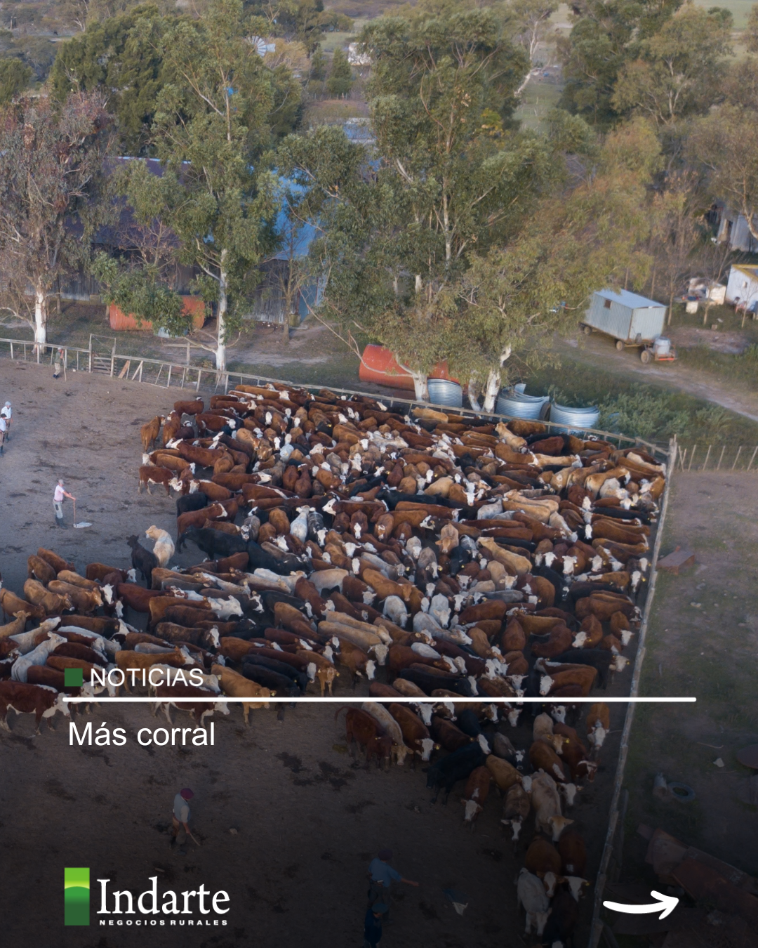 Más corral 