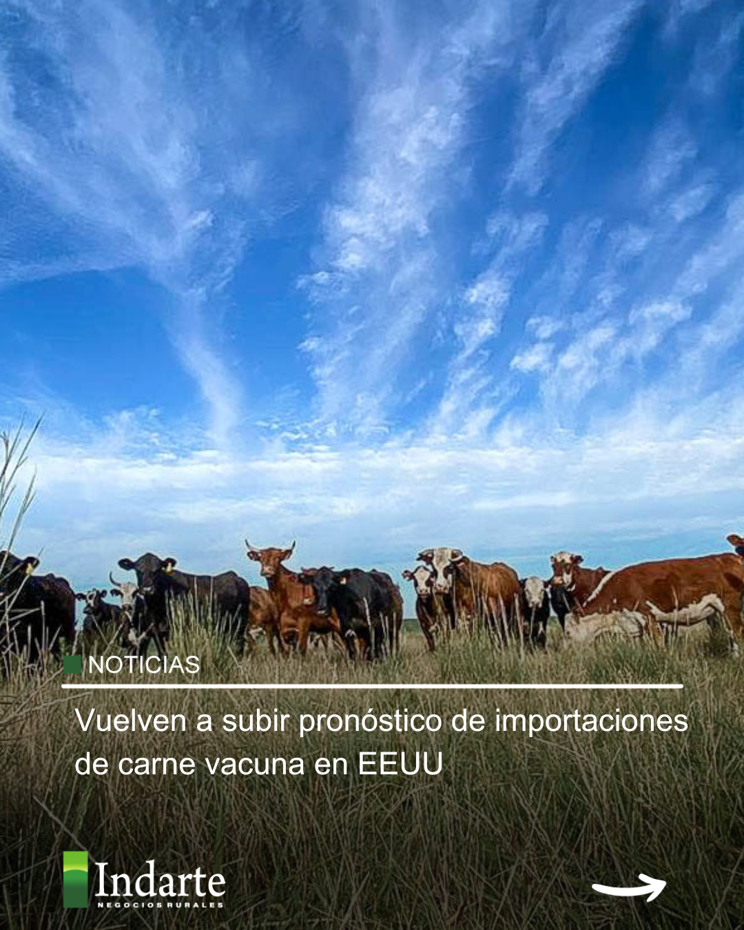 Vuelven a subir pronóstico de importaciones de carne vacuna en EEUU 