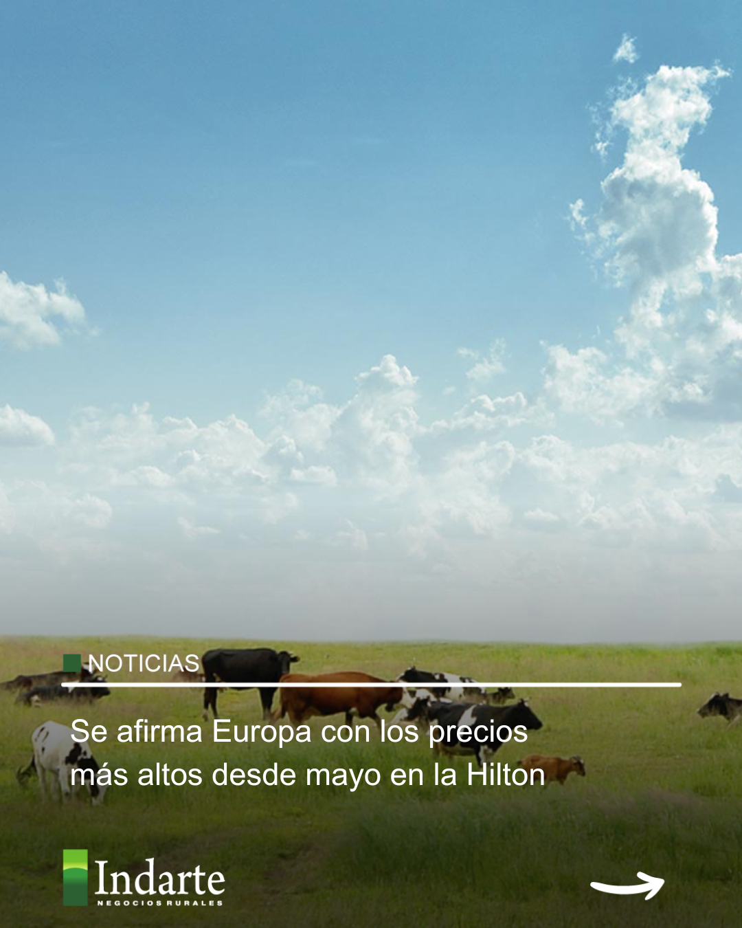 Se afirma Europa con los precios más altos desde mayo en la Hilton