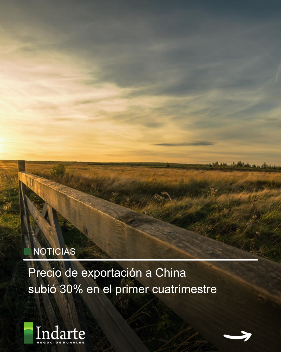 Precio de exportación a China subió 30% en el primer cuatrimestre 