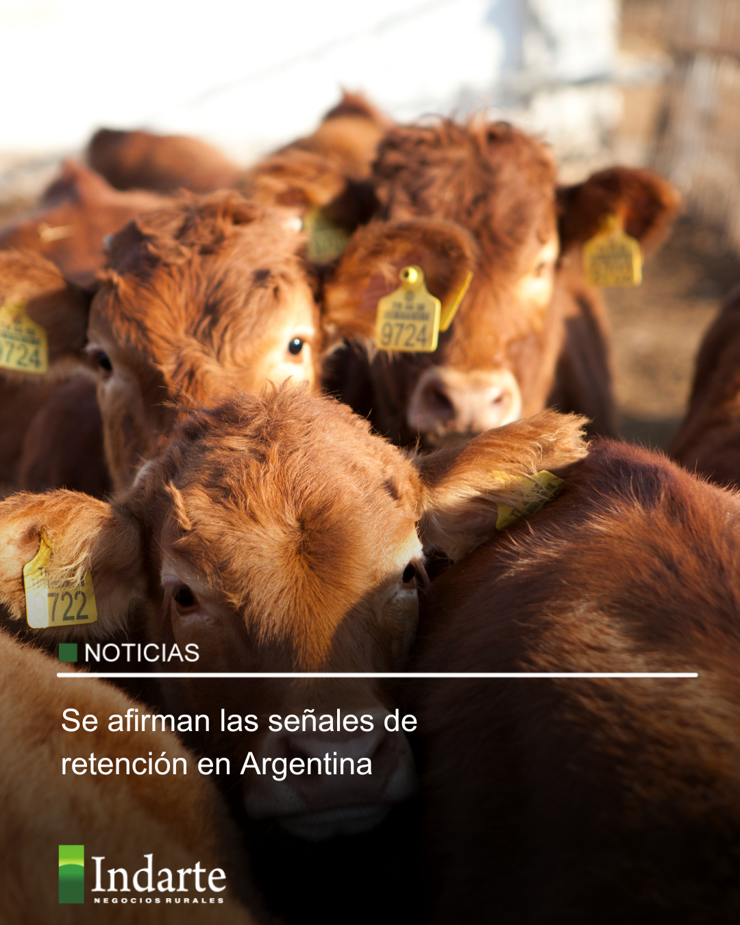 Se afirman las señales de retención en Argentina