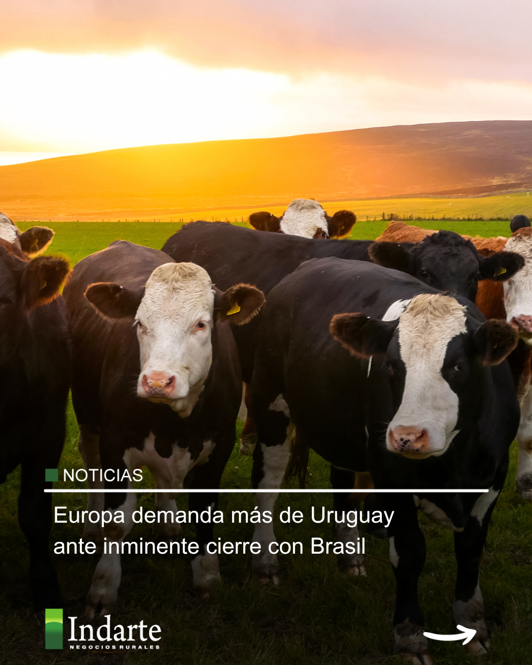 Europa demanda más de Uruguay ante inminente cierre con Brasil