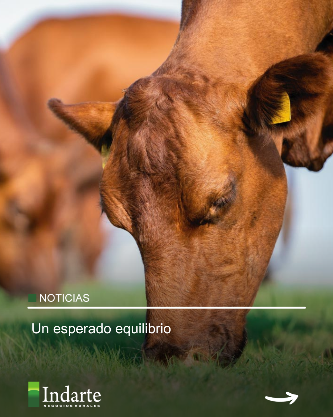 Un esperado equilibrio 