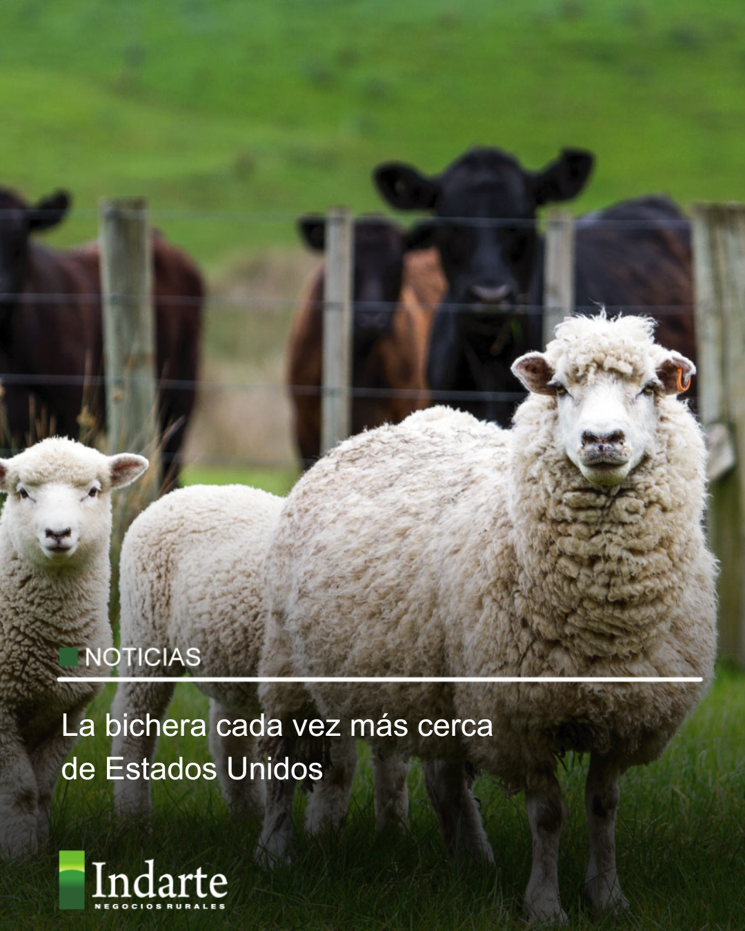 La bichera cada vez más cerca de Estados Unidos 