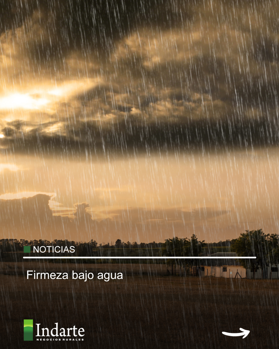 Firmeza bajo agua 