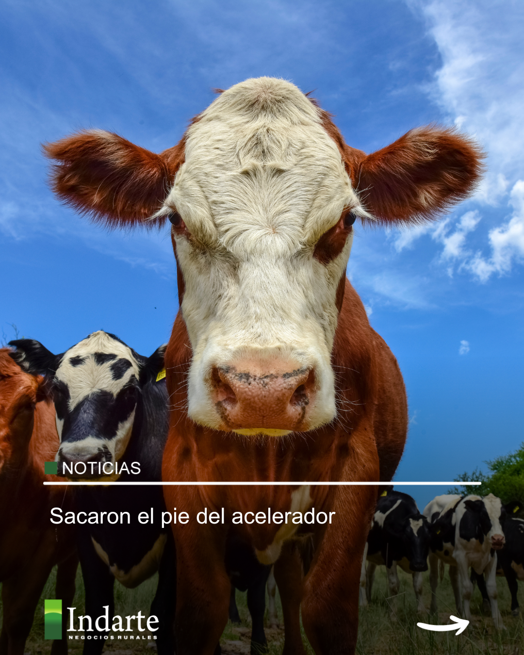 Sacaron el pie del acelerador 