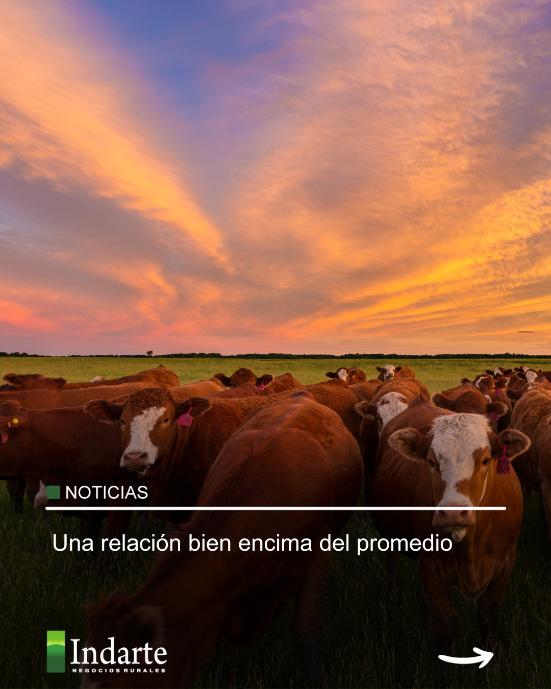 Una relación bien encima del promedio 
