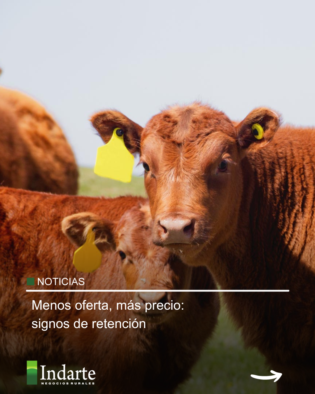 Menos oferta, más precio: signos de retención