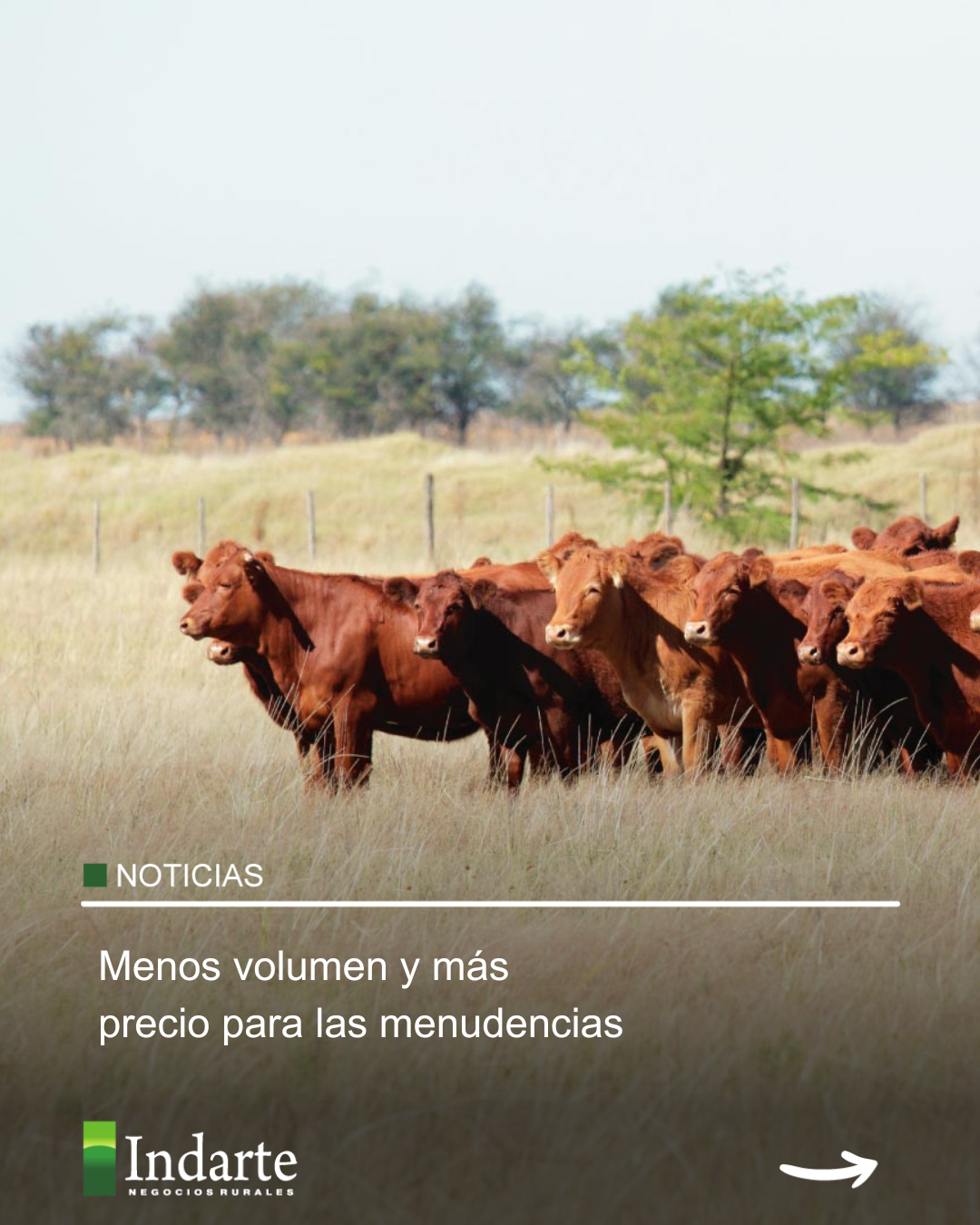 Menos volumen y más precio para las menudencias 