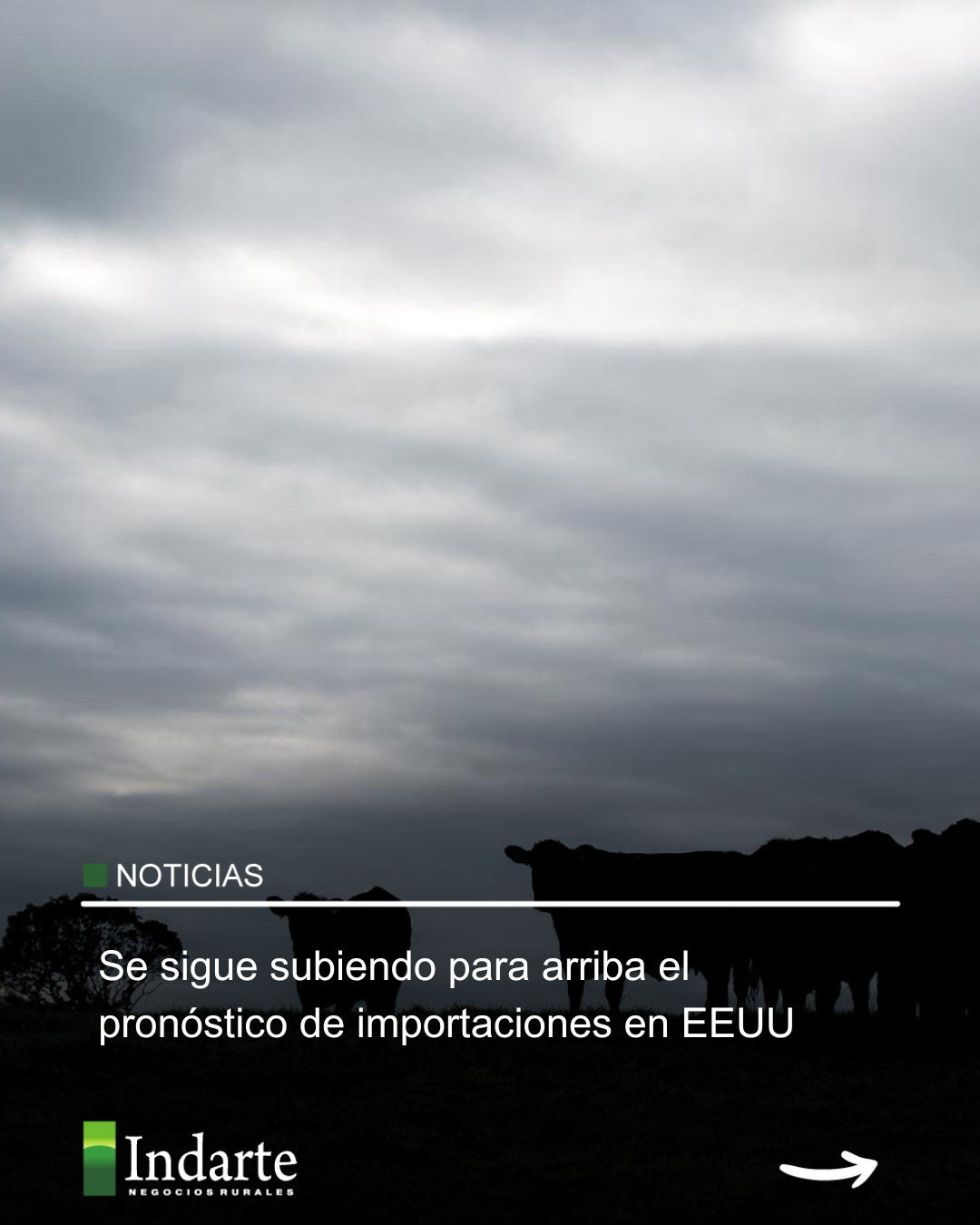 Se sigue subiendo para arriba el pronóstico de importaciones en EEUU 