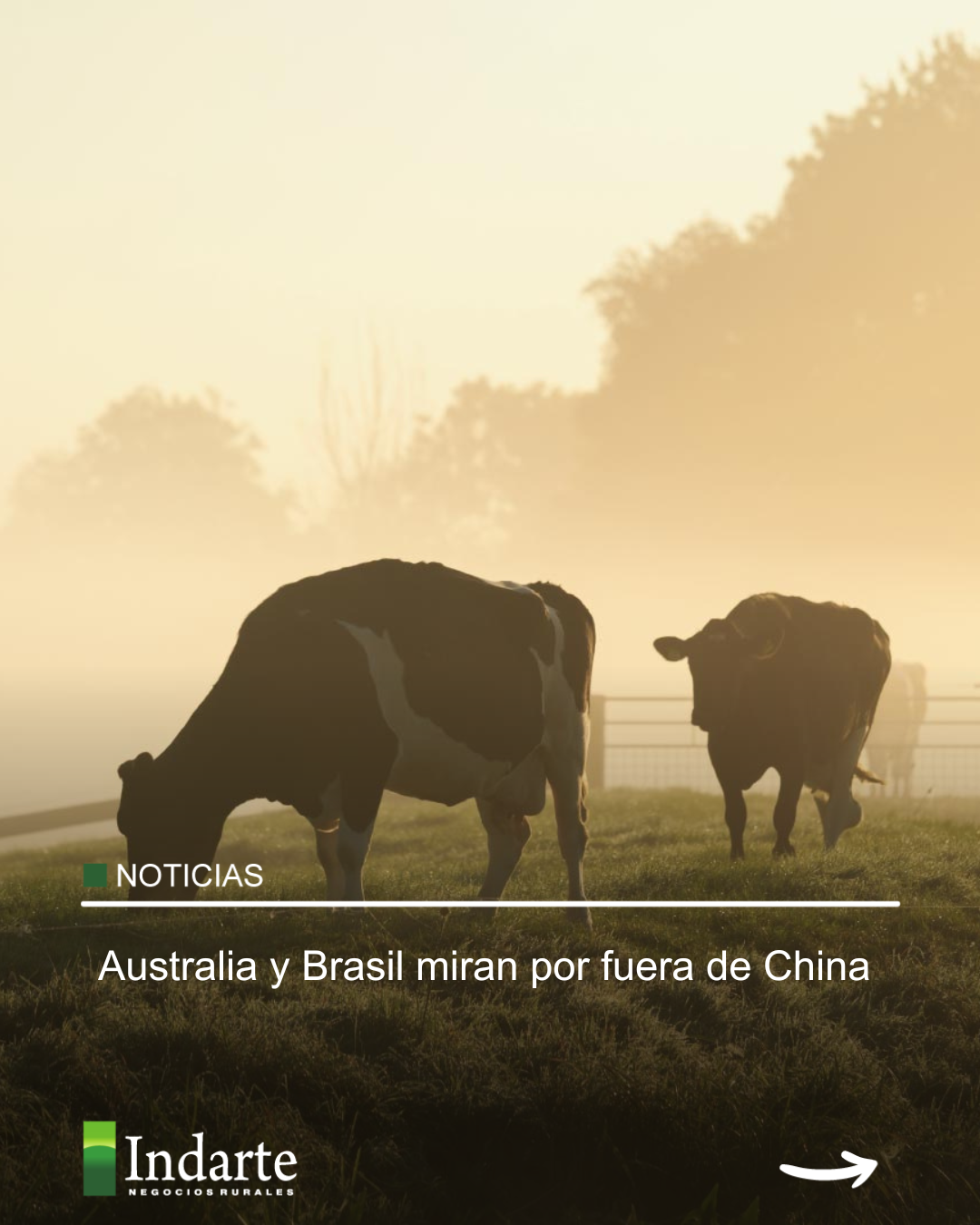 Australia y Brasil miran por fuera de China 