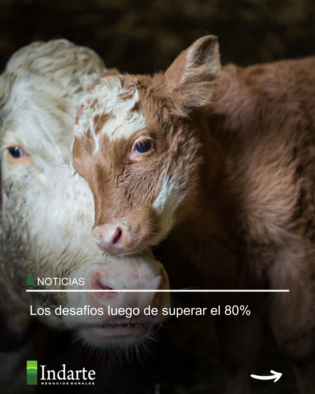 Los desafíos luego de superar el 80% 