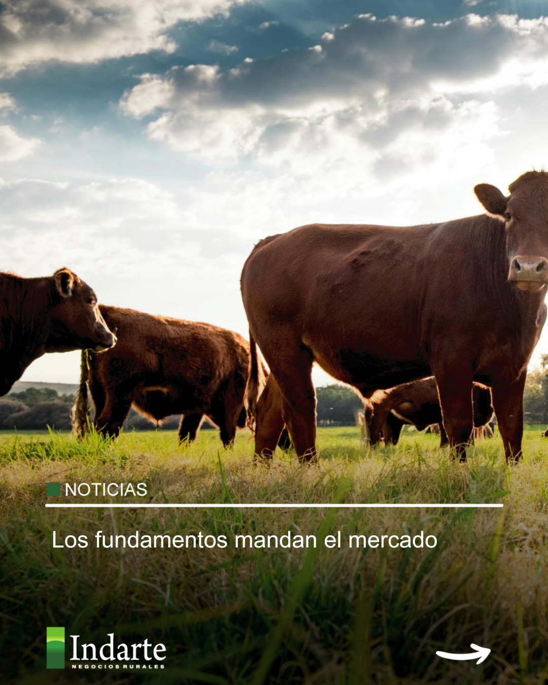 Los fundamentos mandan el mercado