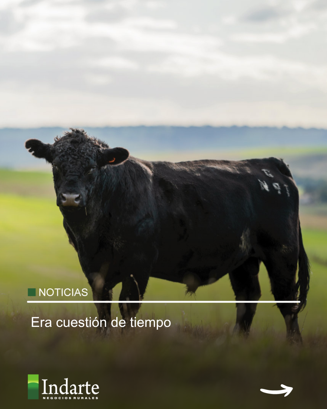 Era cuestión de tiempo