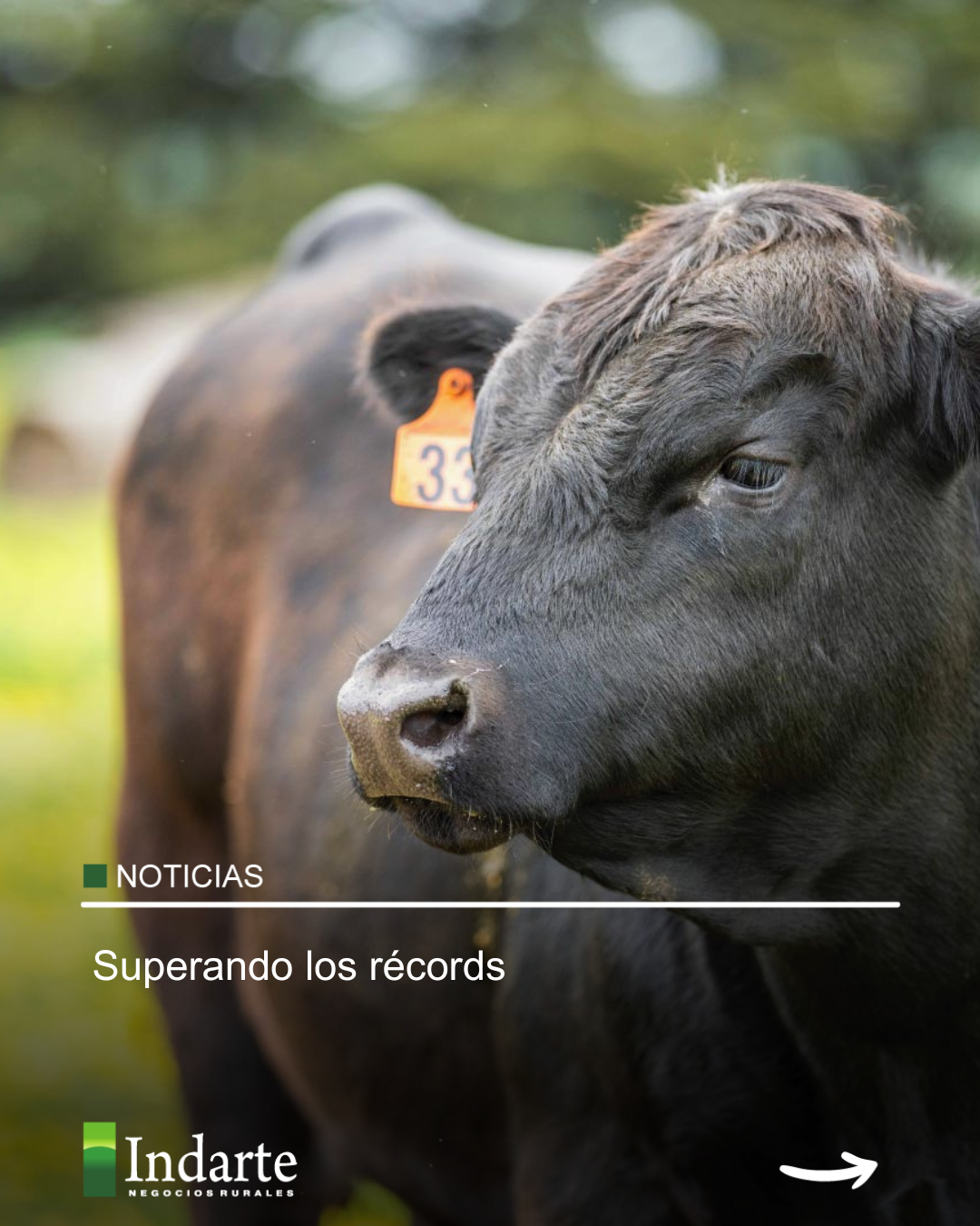 Superando los récords