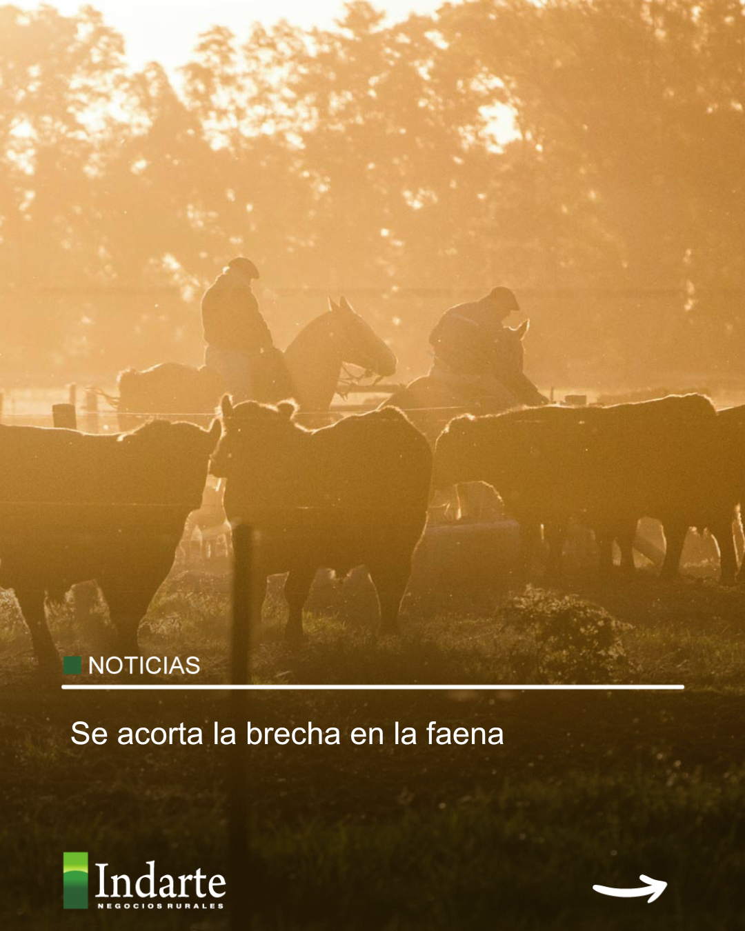 Se acorta la brecha en la faena