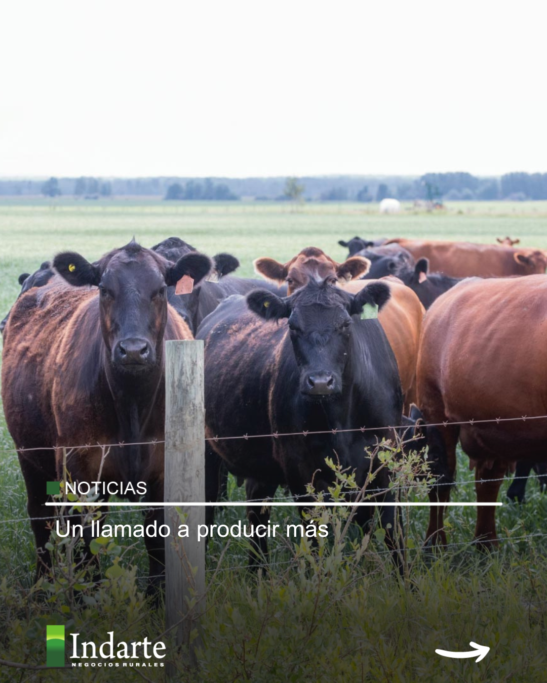 Un llamado a producir más 