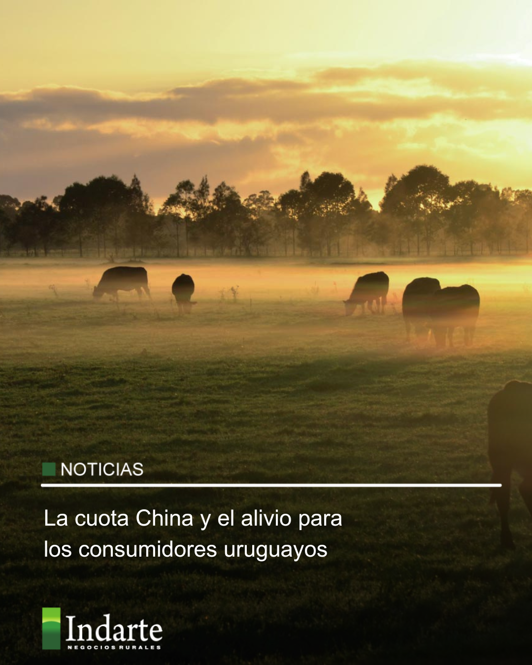 La cuota China y el alivio para los consumidores uruguayos