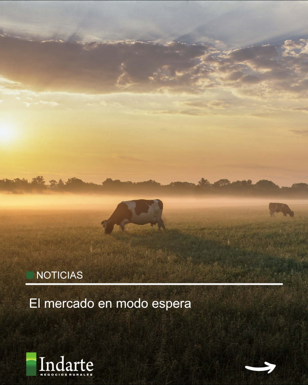 El mercado en modo espera 