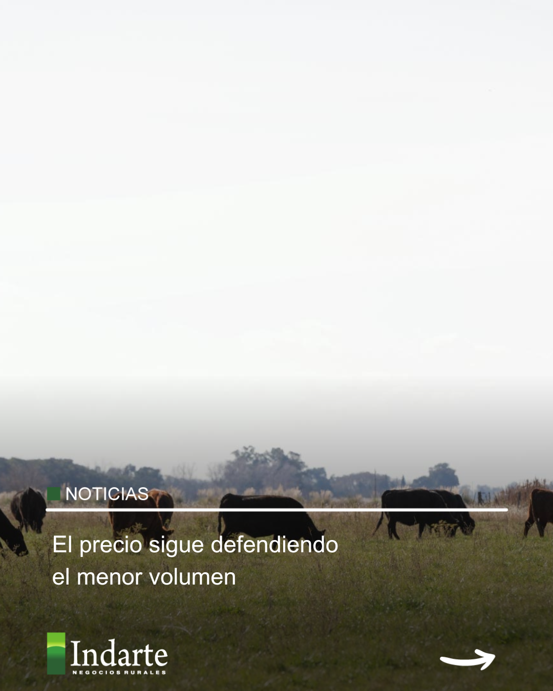 El precio sigue defendiendo el menor volumen 