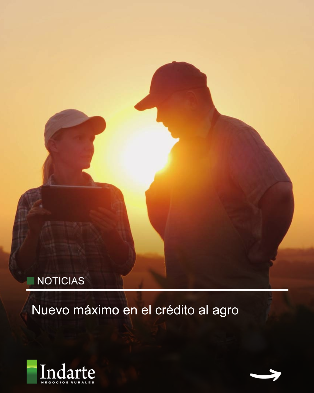 Nuevo máximo en el crédito al agro
